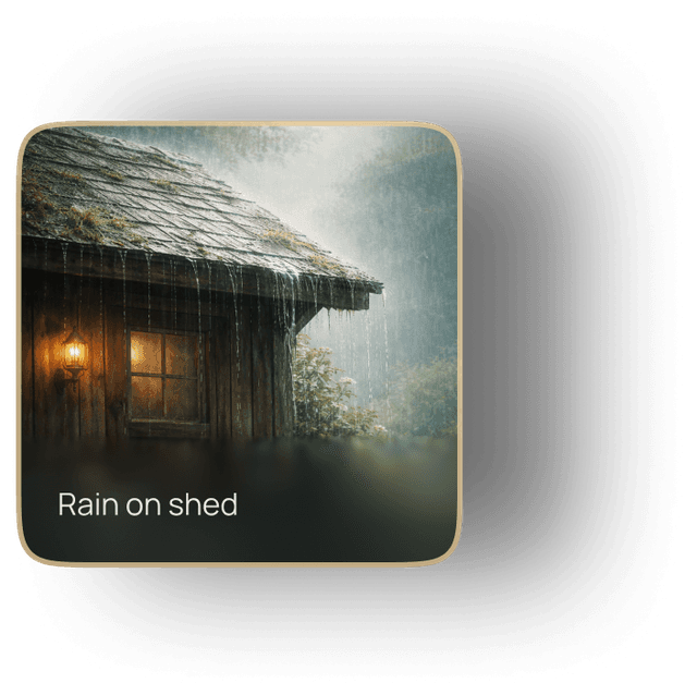 Rain on Shed